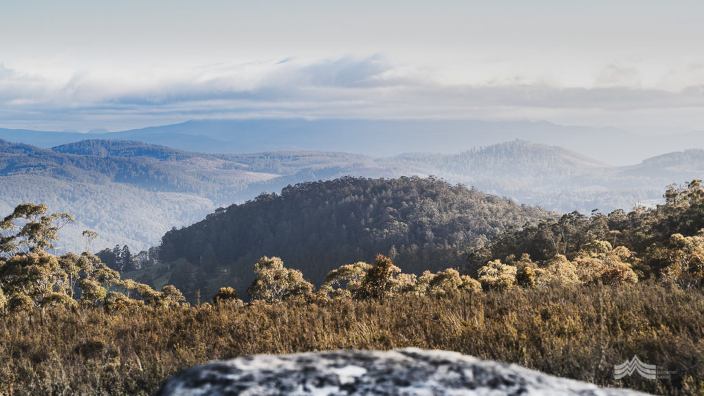 huon-bush-retreats-1-3