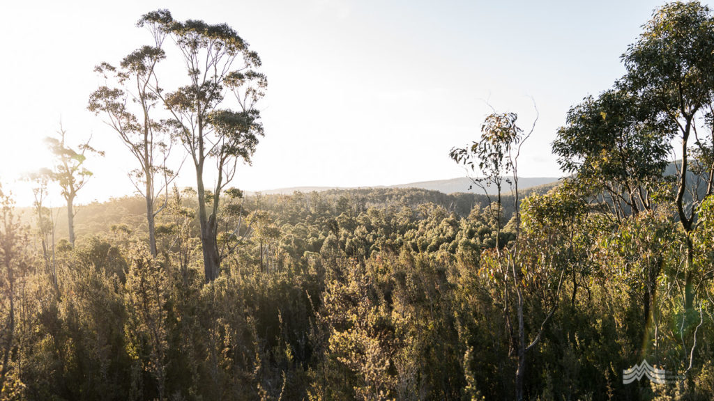 huon-bush-retreats-14